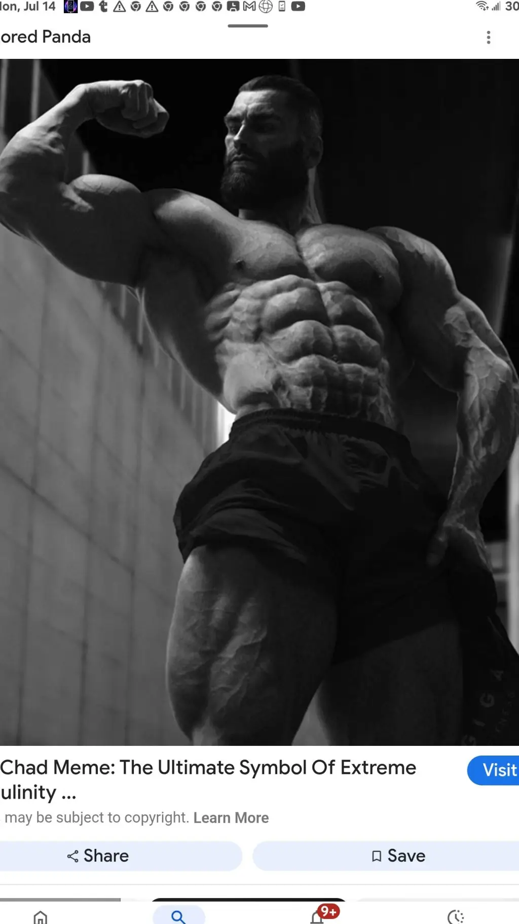 ai character: the trex family  background