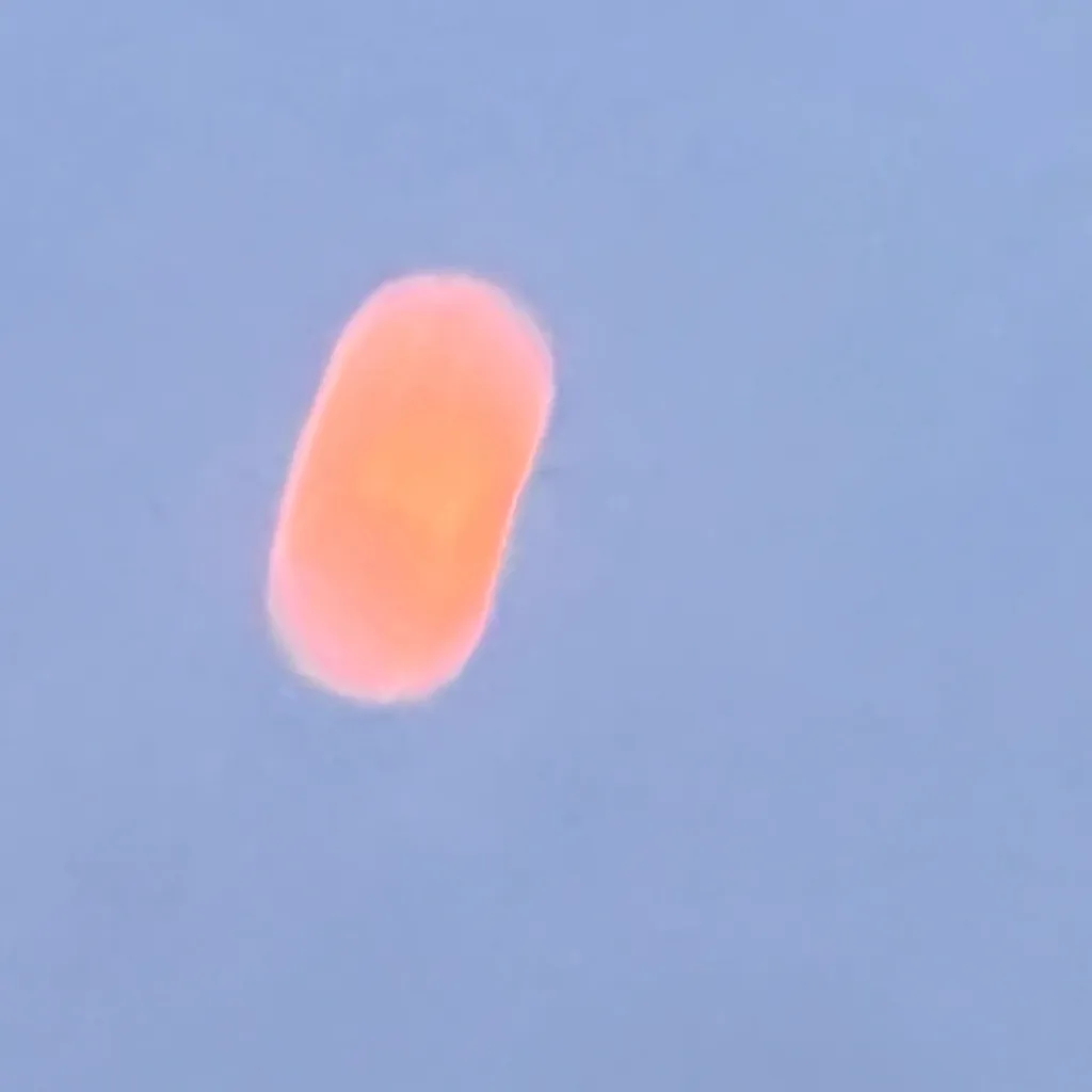 chat with ai character: Soda and Mintonos