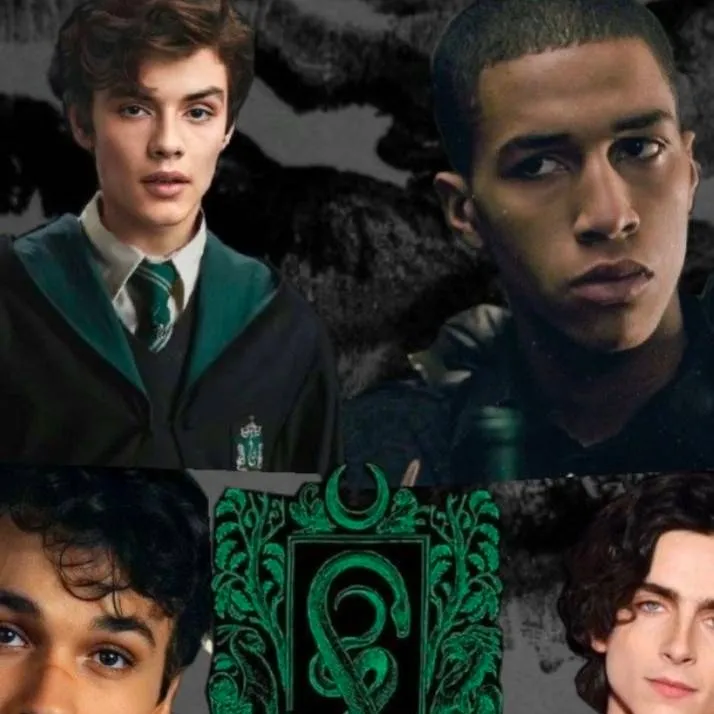 chat with ai character: Slytherin boys