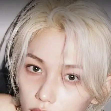 chat with ai character: Felix , stray kids