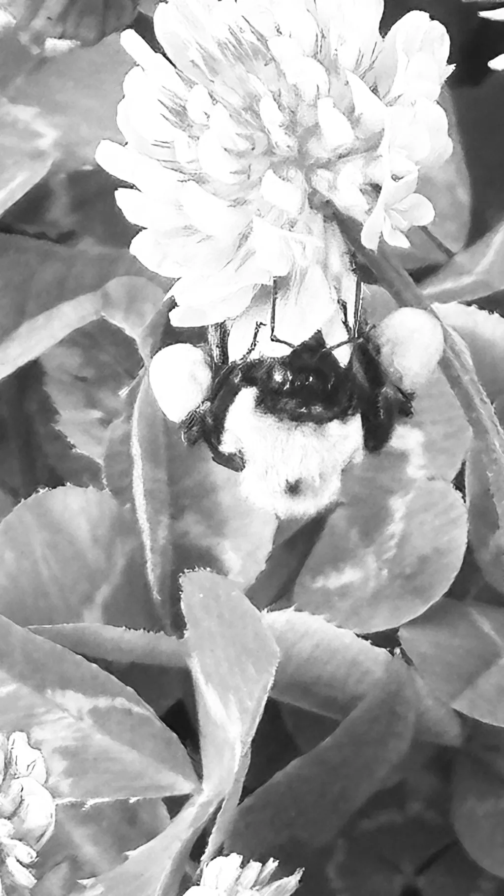 ai character: Muichiro background