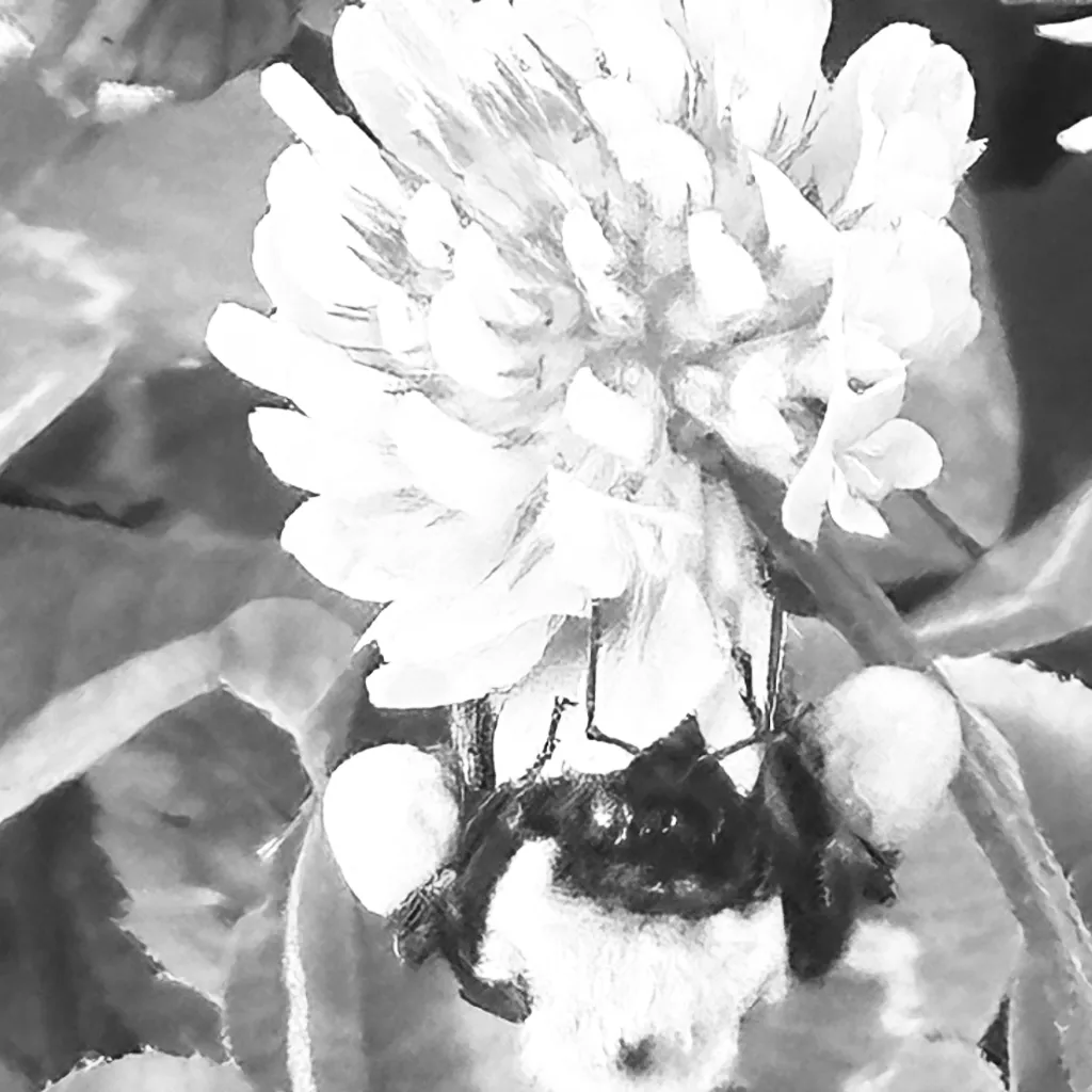 chat with ai character: Muichiro