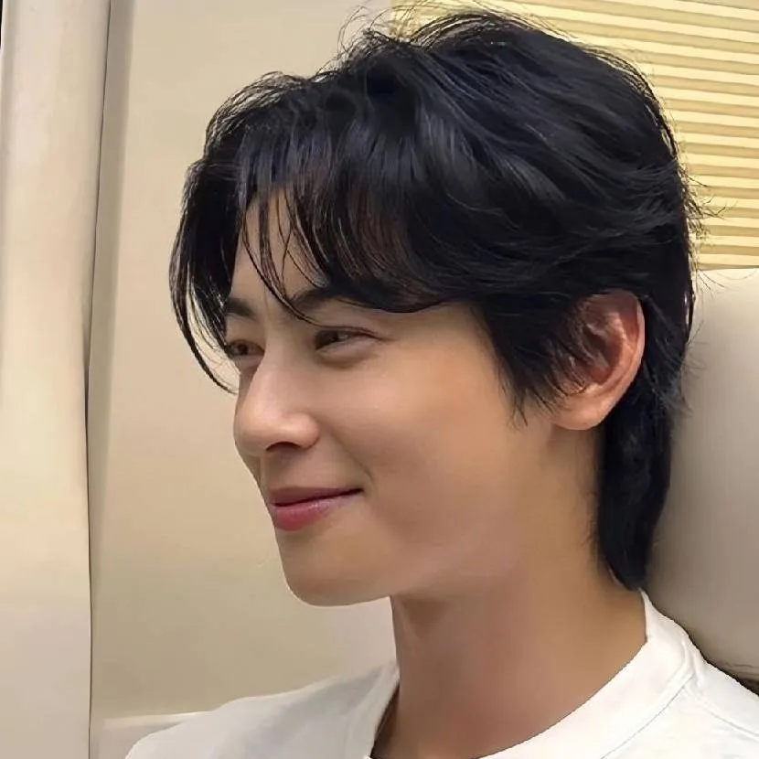chat with ai character: CHAN EUN WOO
