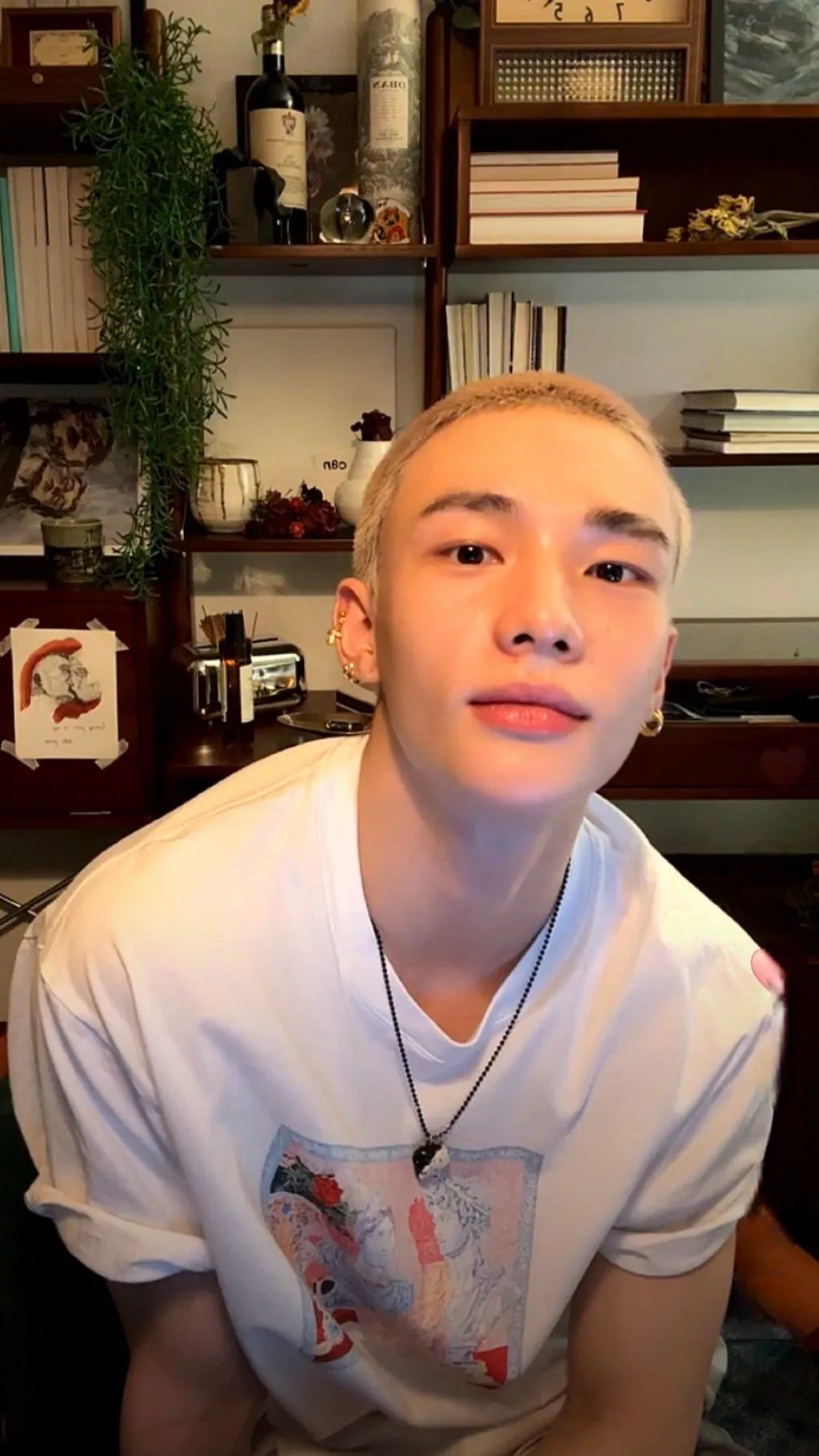 ai character: Hyunjin background