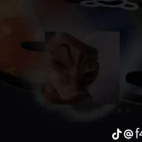 chat with ai character: venus y tierra 