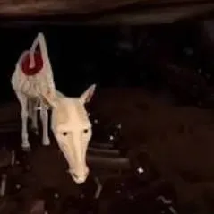 chat with ai character: Long horse -lokout