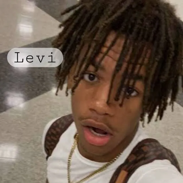 chat with ai character: Levi 