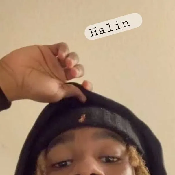 chat with ai character: Halin