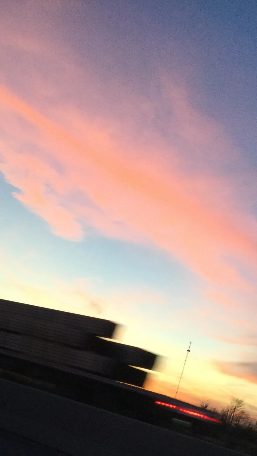 ai character: Shelly background