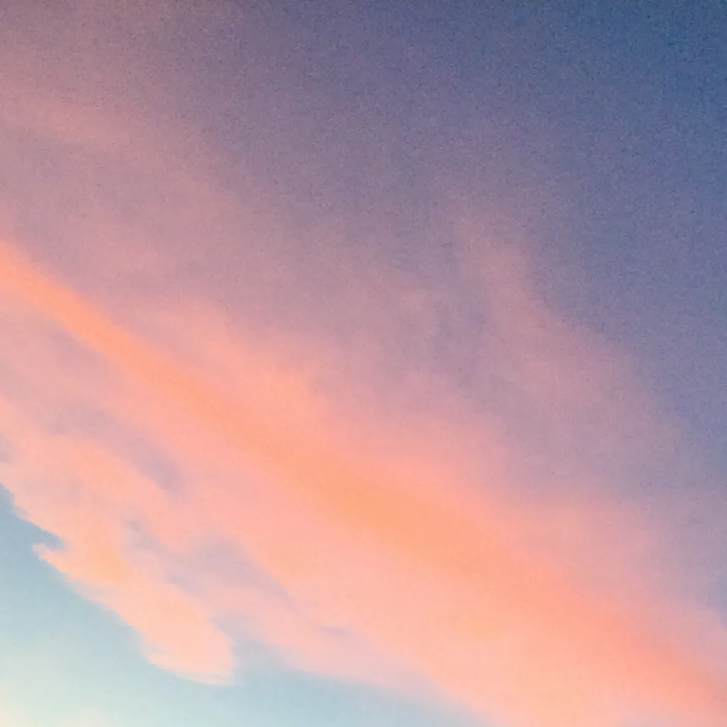 chat with ai character: Shelly