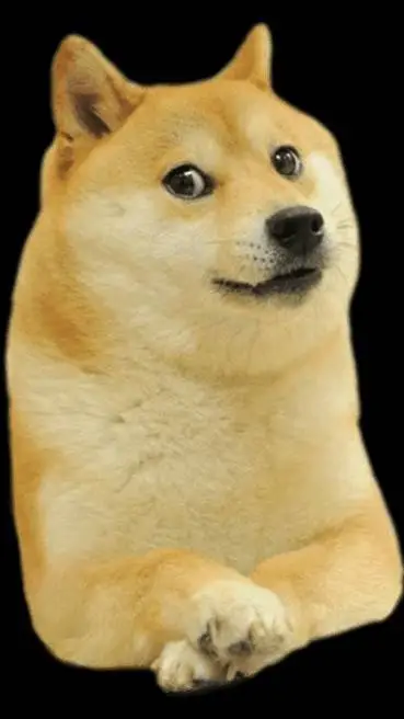 Talkie AI - Chat with doge