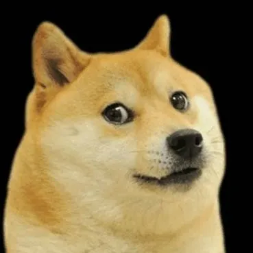 chat with ai character: doge
