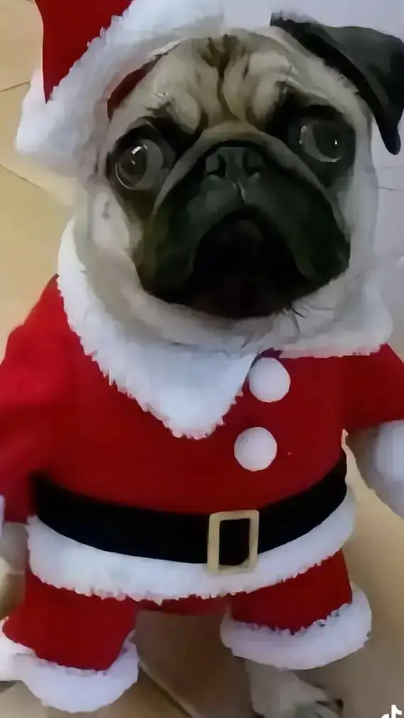 ai character: Артем background