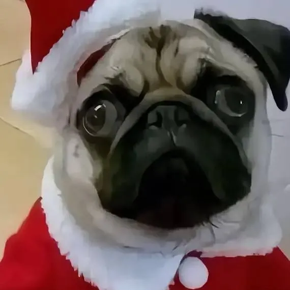 chat with ai character: Артем