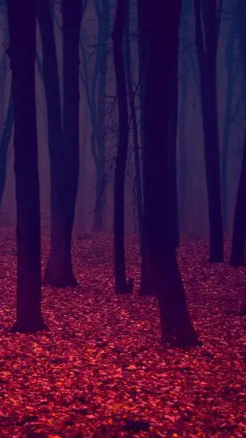 ai character: Level 14 Paradise background