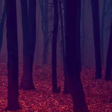 chat with ai character: Level 14 Paradise