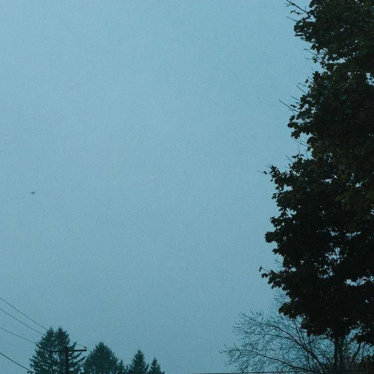 chat with ai character: Mark