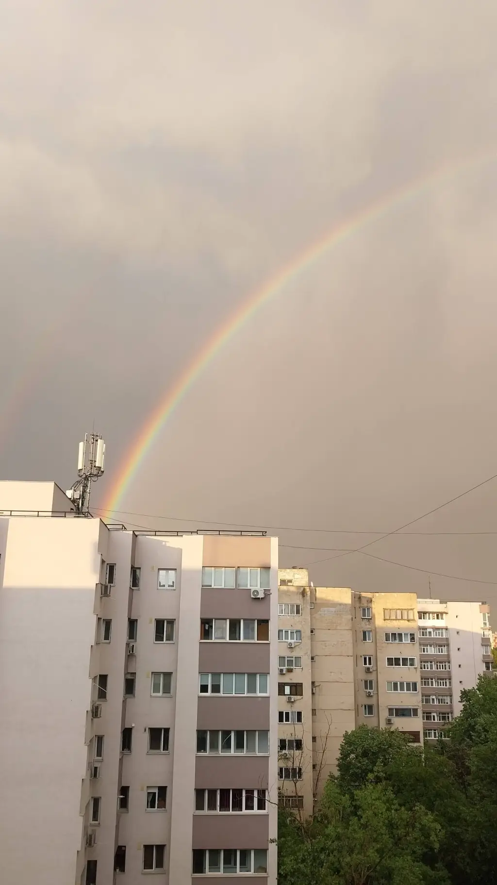 ai character: grow a garden background