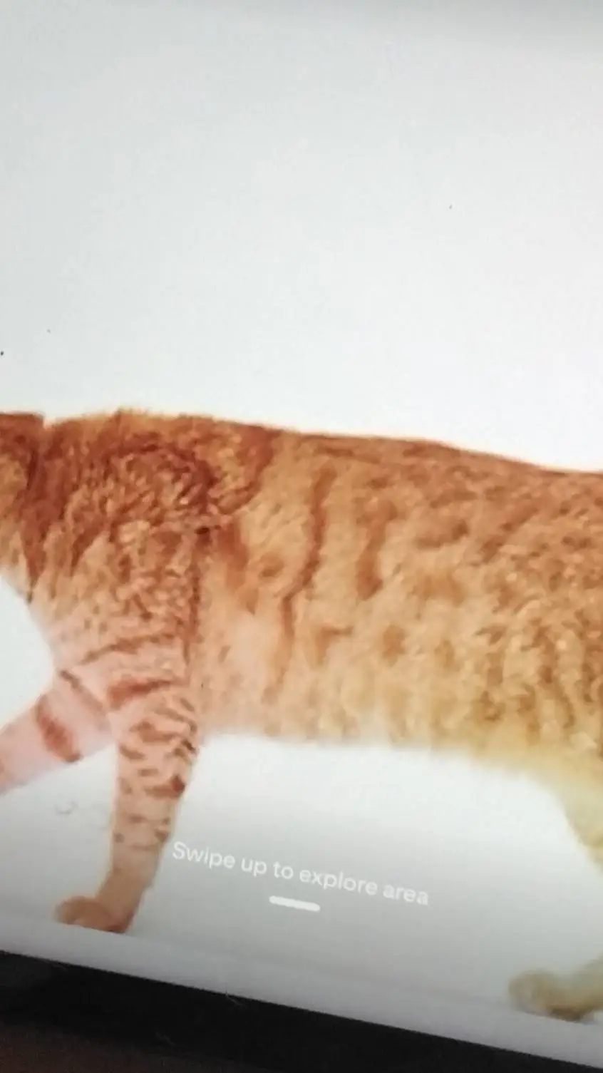 ai character: voodoo doll background