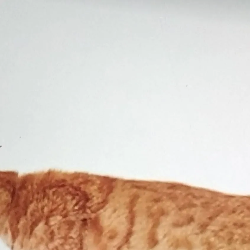 chat with ai character: voodoo doll