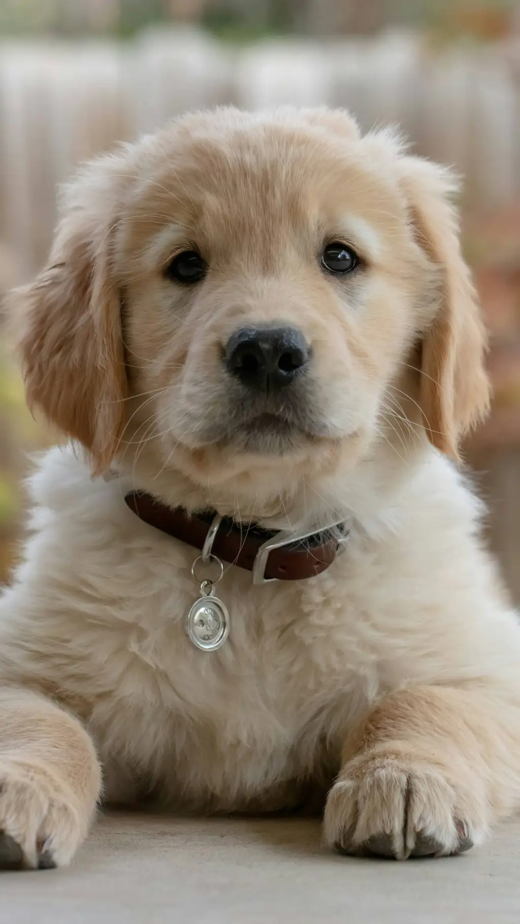 ai character: lucky background