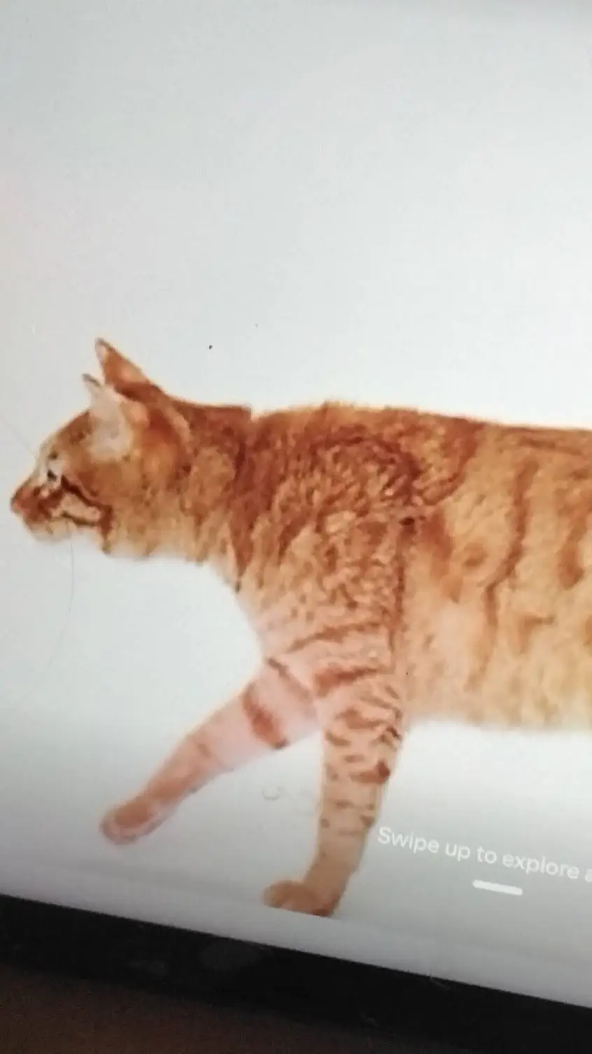 ai character: chat background