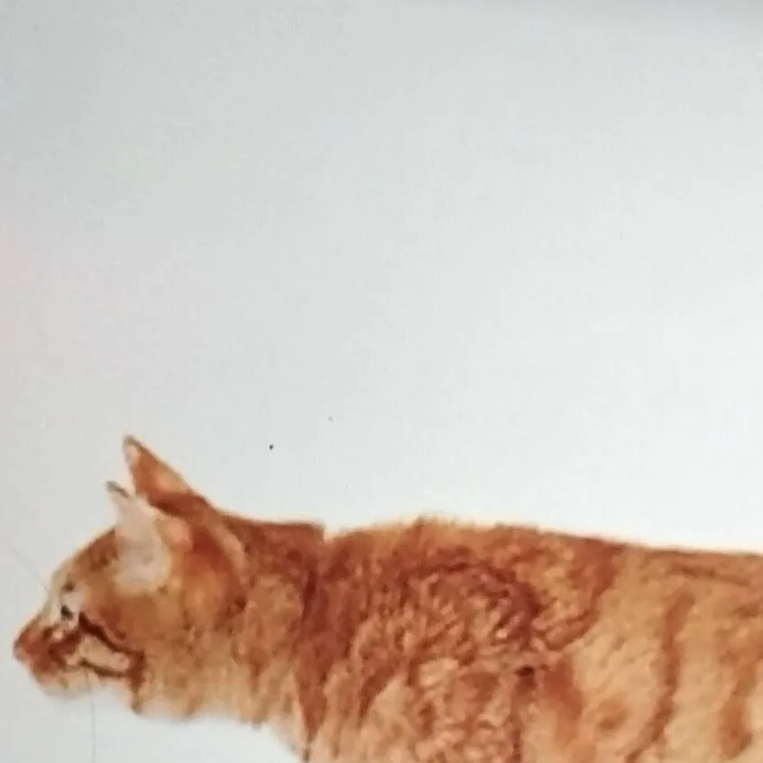 chat with ai character: chat