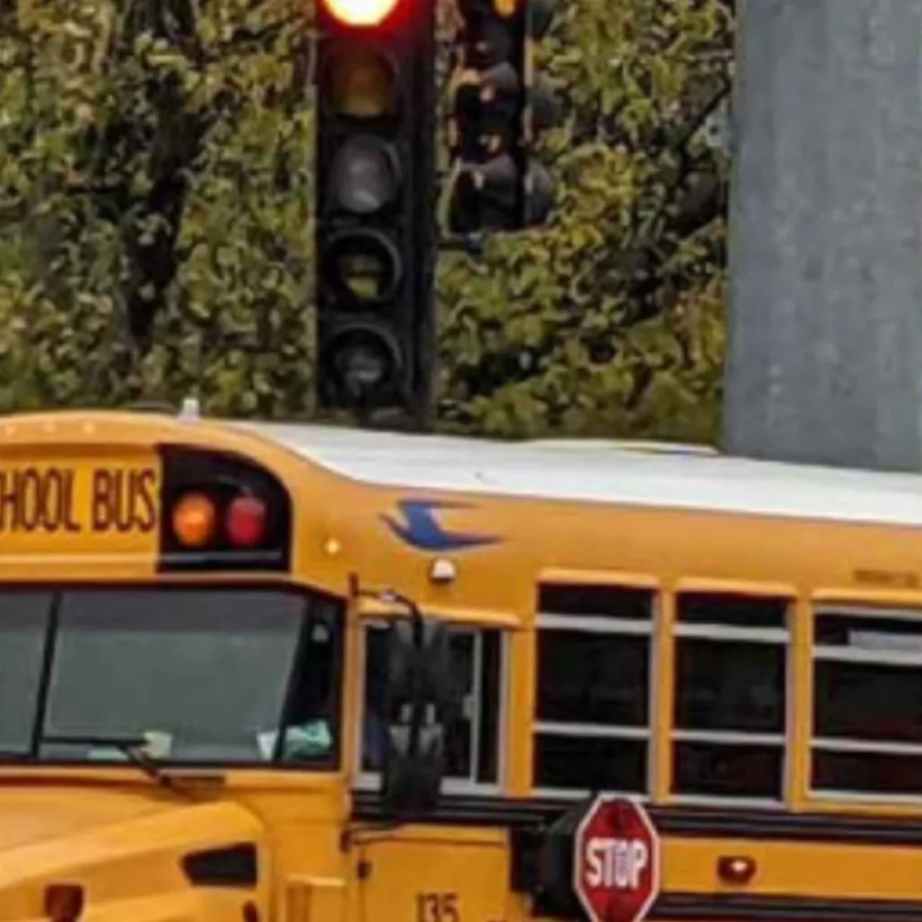 chat with ai character: Grade 3 field trip