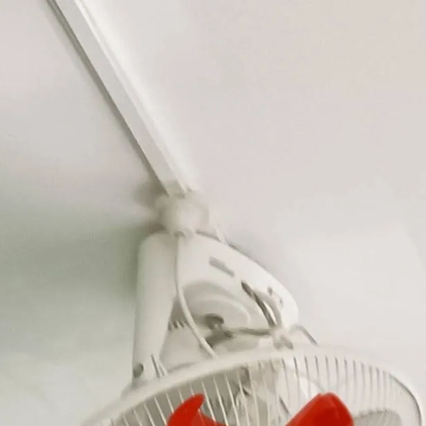 chat with ai character: Kapas