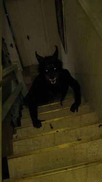 Talkie AI - Chat with ß¥£€¥