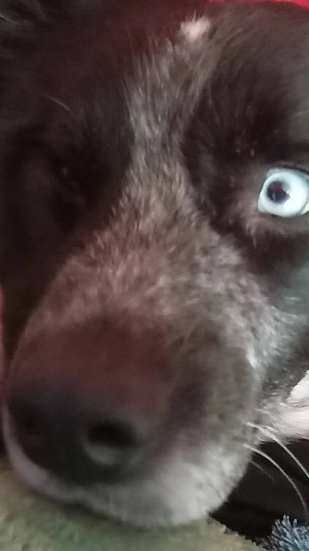 ai character: Smokey background