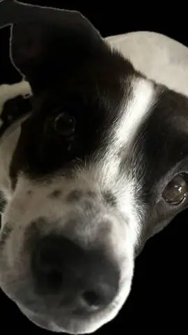 ai character: blue lock  background