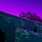 chat with ai character: TMNT (￼￼again)