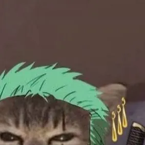 chat with ai character: zoro gato