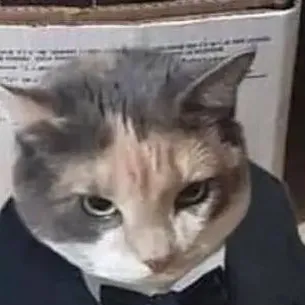 chat with ai character: gato fino señores