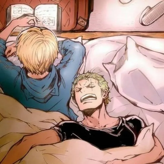 chat with ai character: Sanji x Zoro