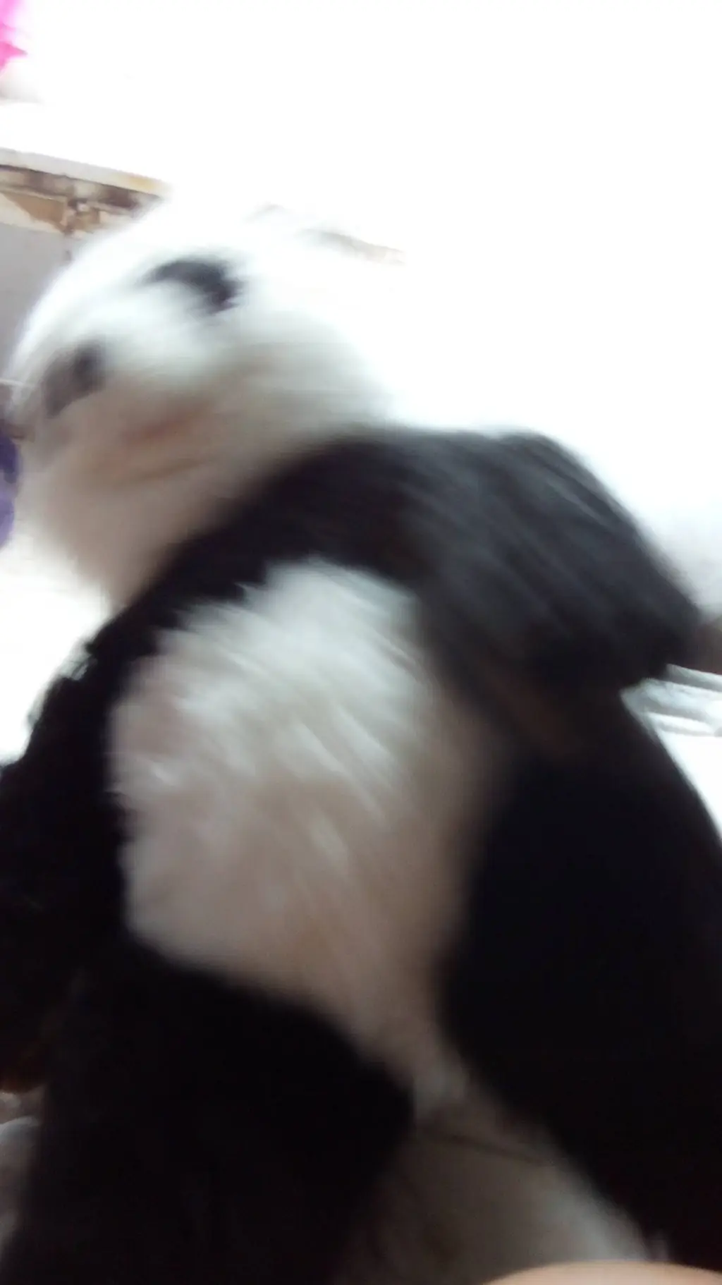 ai character: big panda background