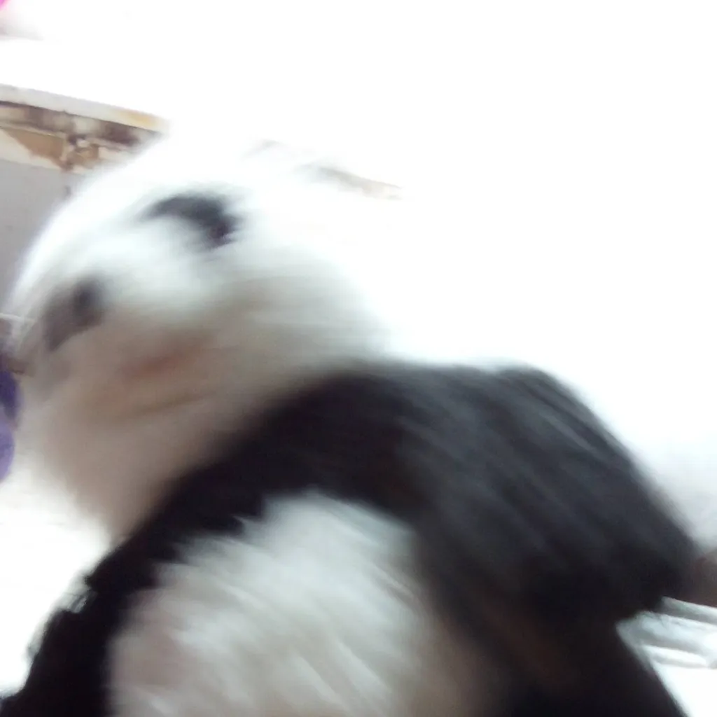 chat with ai character: big panda