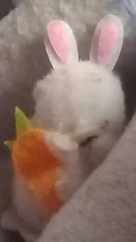 ai character: miney background