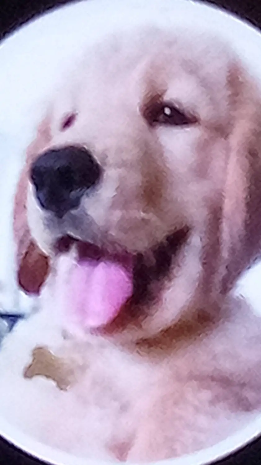 ai character: tucker  background