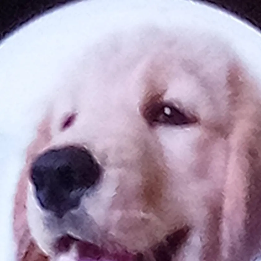 chat with ai character: tucker 