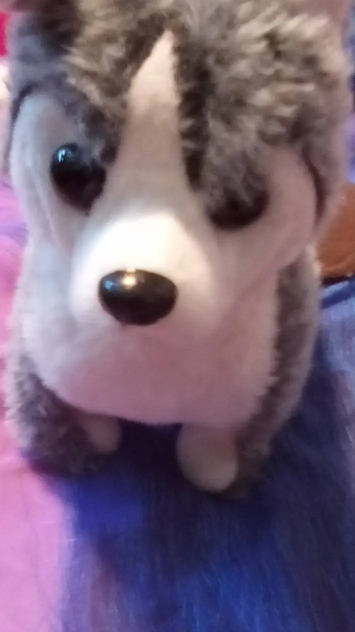 ai character: ozky  background