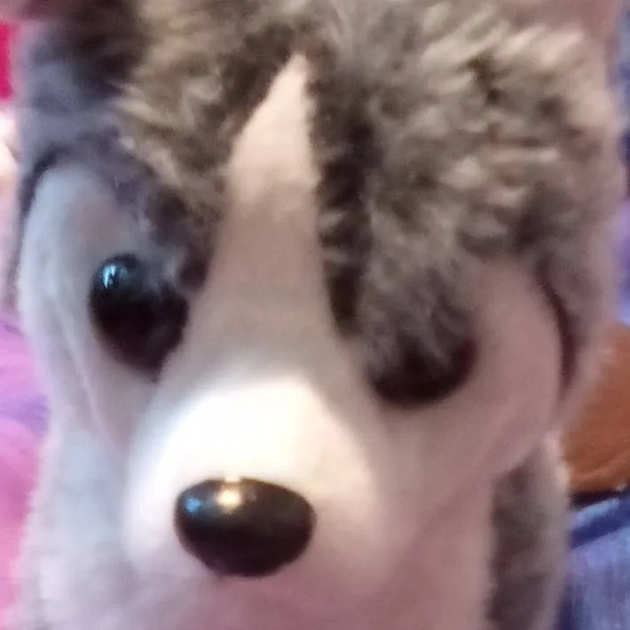 chat with ai character: ozky 