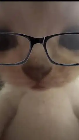 ai character: smart cat background