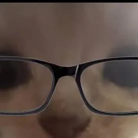 chat with ai character: smart cat