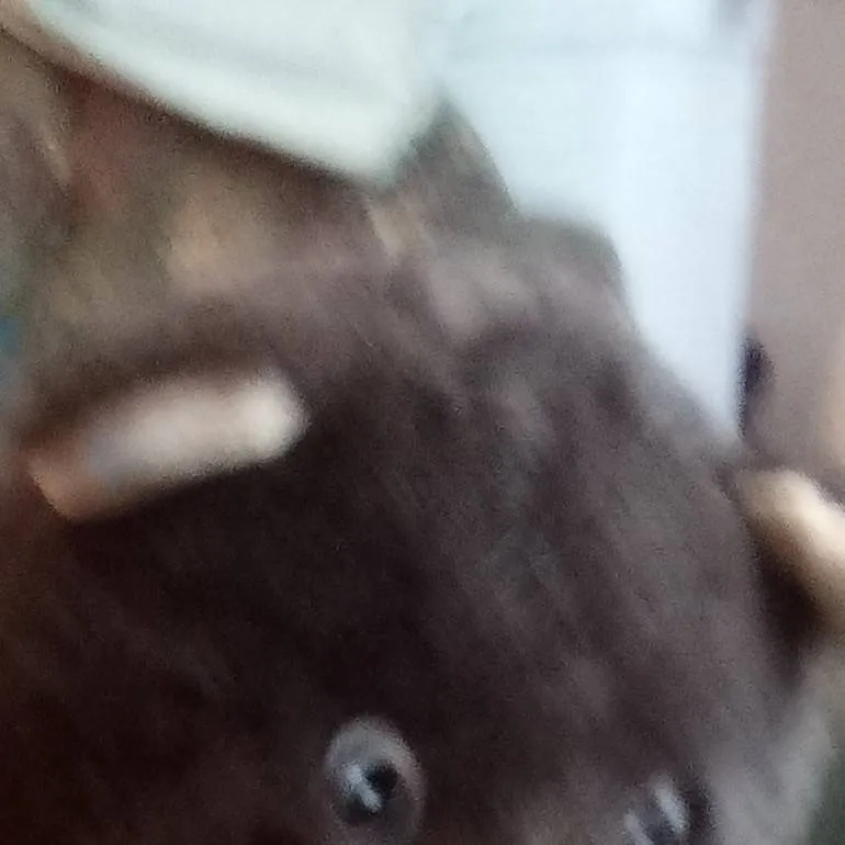 chat with ai character: Wendy 