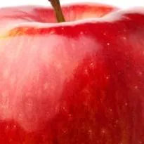 chat with ai character: APPLE