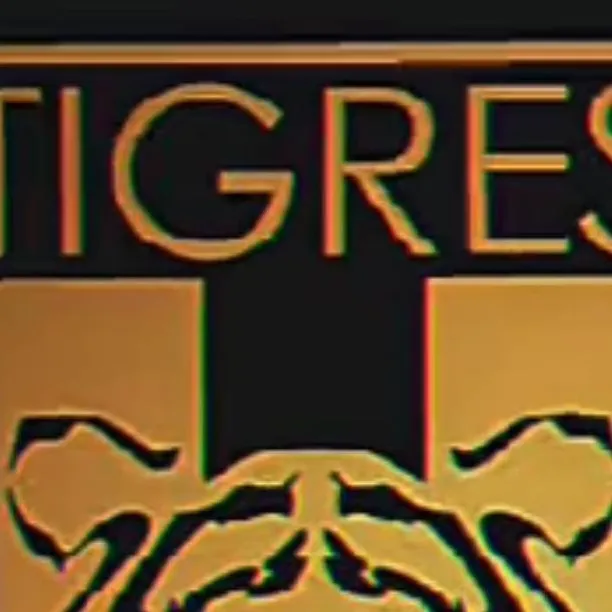 chat with ai character: tigres UNAL 
