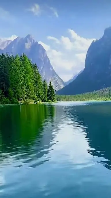 ai character: fantasy forest background