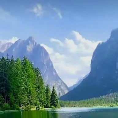 chat with ai character: fantasy forest